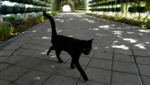 Qué se celebra el viernes 13 y por qué se dice que es de mala suerte: Rituales, mitos y realidades