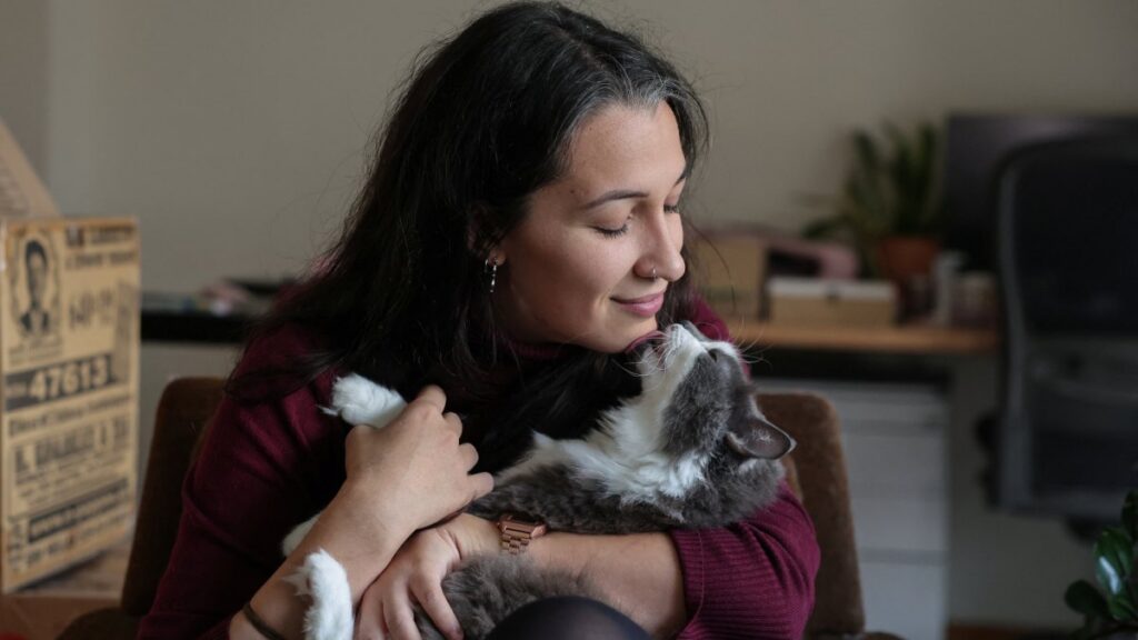 En promedio los gatos viven en torno a los 12 años