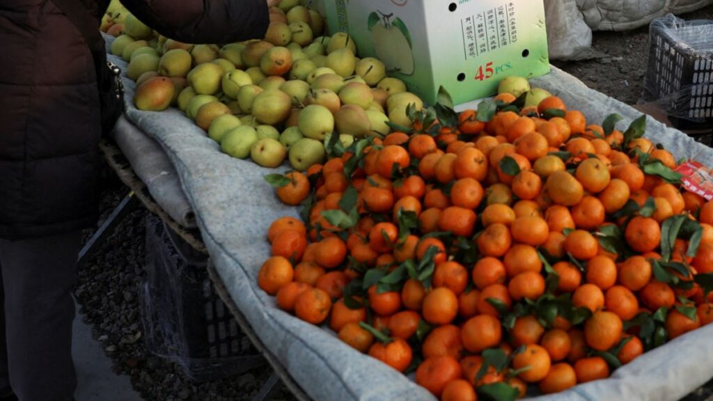 ejocote, guayaba, manzana, caña, ciruela pasa y tamarindo son algunos de los ingredientes para preparar ponche