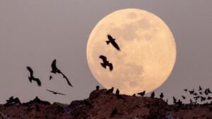 ¿Cuál es el día y hora para ver la luna del cazador 2026? No olvidarás esta noche de octubre