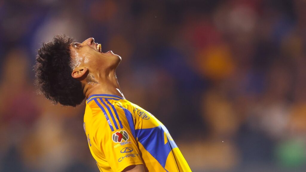 Antuna no ha sido solución en Tigres | Imago7