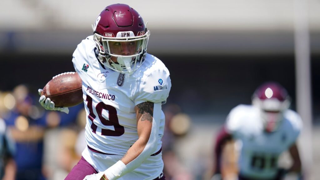 Burros Blancos del IPN: Aquí te decimos su calendario dentro de la temporada 2025 de la Liga Mayor de la ONEFA.