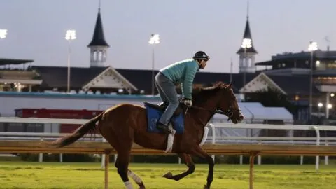 Triple Corona de Caballos: ¿Qué es y cuáles son las carreras que integran?