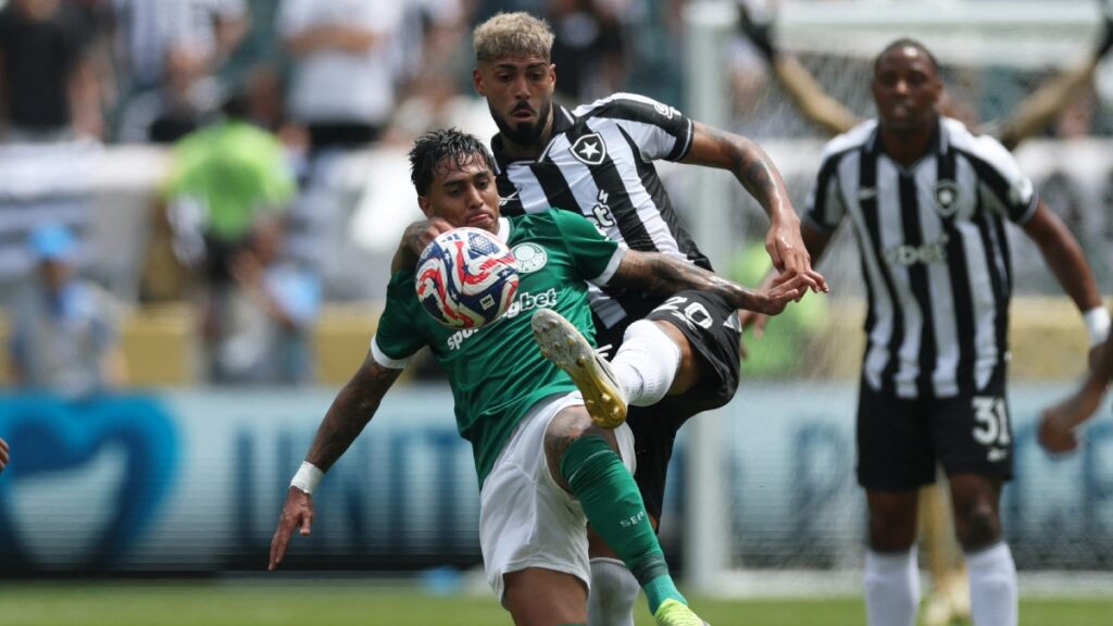 Palmeiras y Botafogo