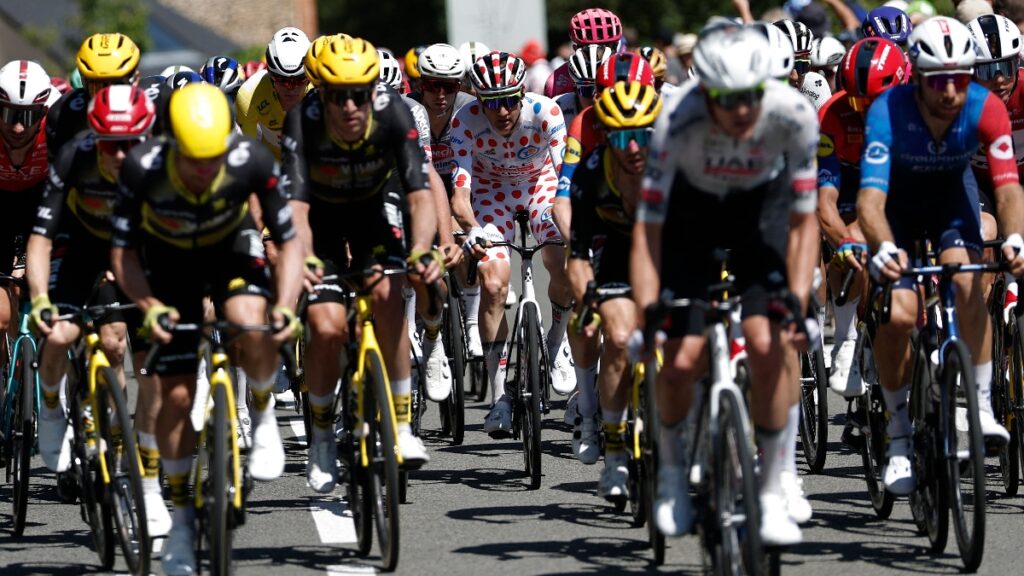 Pelotón de la etapa 7 del Tour de Francia / Reuters