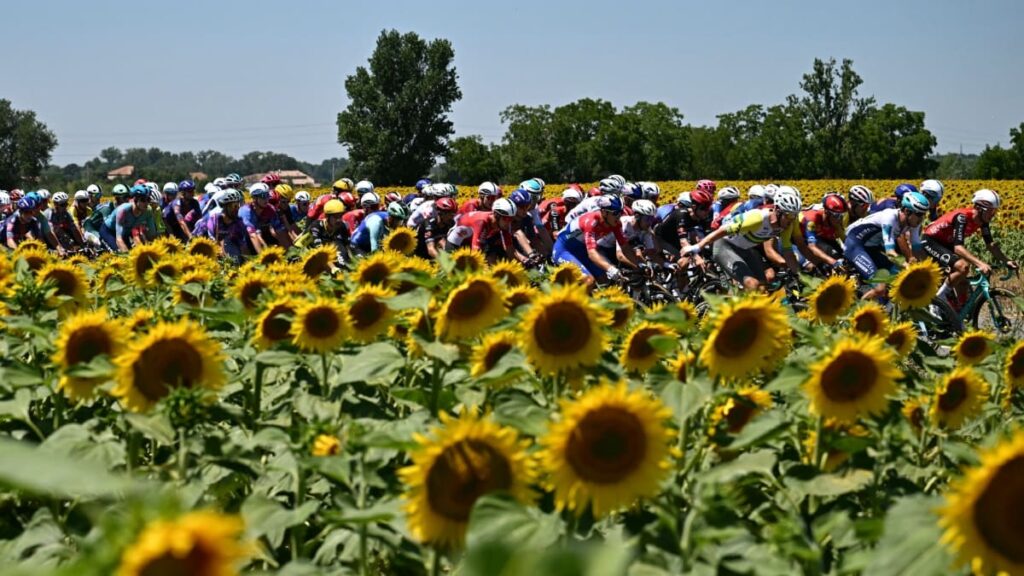 Clasificación del Tour de Francia | Loic VENANCE / AFP.