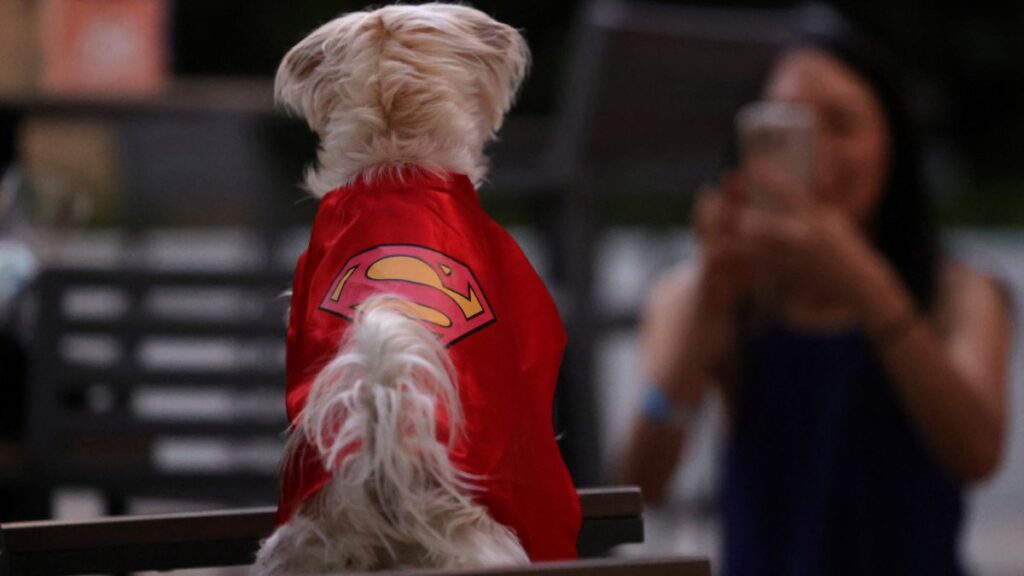 Es famoso por la reciente película de Superman