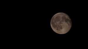 ¿Qué es la Luna Negra de agosto? El fenómeno astronómico que potenciará la lluvia de Perseidas 2025