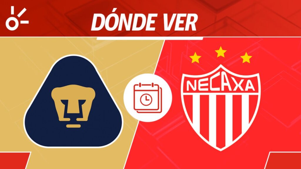Pumas vs Necaxa: Te contamos dónde, cuándo y por qué canal ver el partido entre felinos e hidrocálidos en la Liga MX