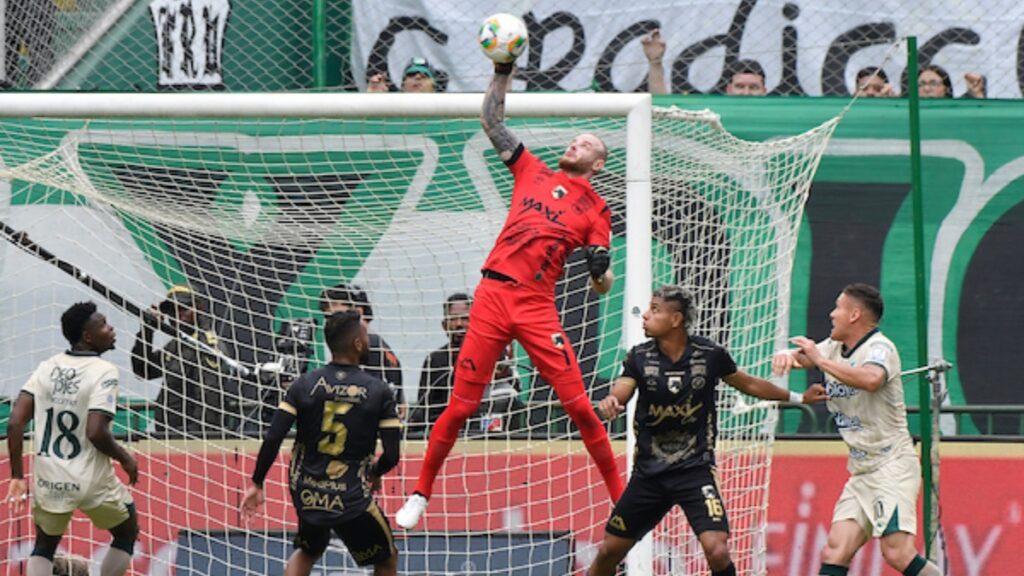 Miguel Ortega tapando con Llaneros | VizzorImage. 