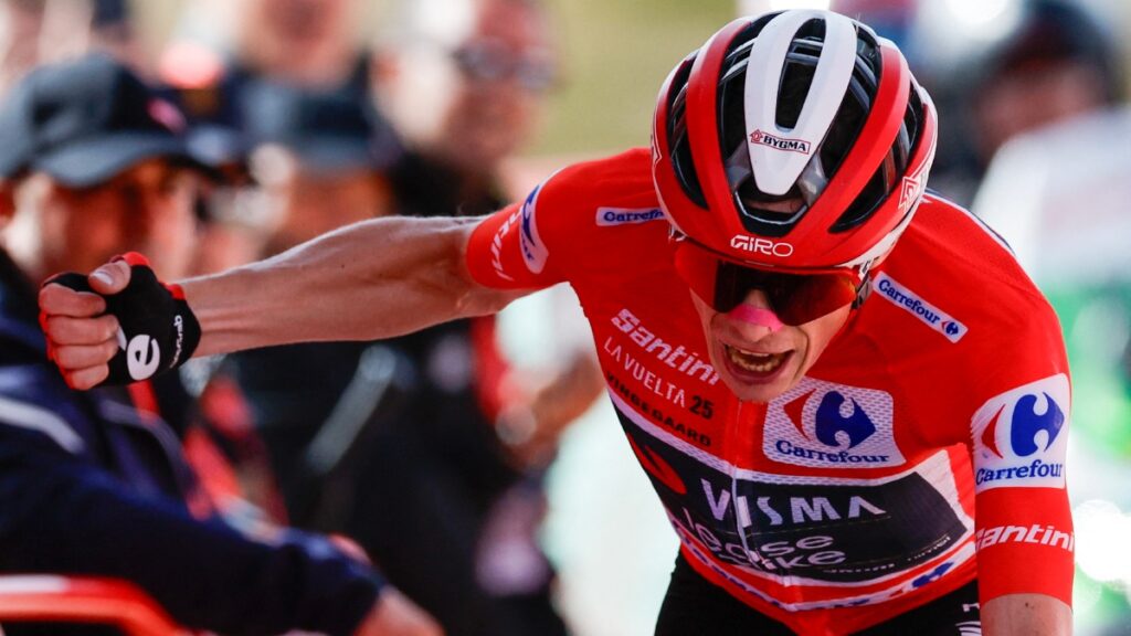 Jonas Vingegaard celebrando | Oscar DEL POZO / AFP.