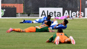 El último ‘out of context’ del fútbol colombiano: se detiene el Envigado vs Millonarios… ¡por un panal de abejas!