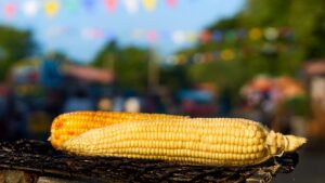 Esquites, elotes y tamales: ¿Cuándo y dónde es la Feria del Maíz 2025 en CDMX?
