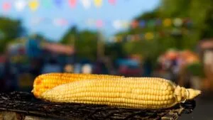 Esquites, elotes y tamales: ¿Cuándo y dónde es la Feria del Maíz 2025 en CDMX?