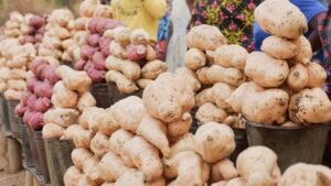¿Las papas se meten al refrigerador? alimentos que nunca debes guardar a bajas temperaturas