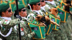 Aviones, tanquetas y perritos rescatistas: así se vivió el Desfile Militar del 16 de septiembre