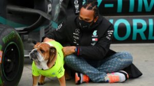 Muere Roscoe, el bulldog de Lewis Hamilton, a los 12 años: “Perdí a mi mejor amigo”