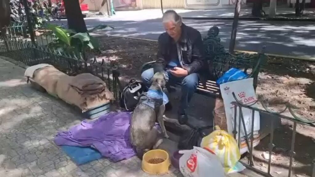 Landeros se encontraba con sus tres gatitos y su perrita