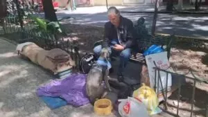 ¿Quién es Alejandro Landero, el galán de telenovelas que se encuentra en una ‘precaria’ situación?