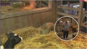 La Granja VIP: Alfredo Adame duerme y habla con las vacas: “Prefiero estar con ustedes”