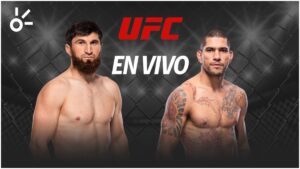 UFC 320 en vivo: resultado Ankalaev vs Pereira y todas las peleas de hoy