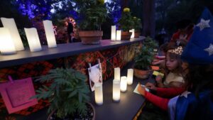 ¿Cuándo llegan las ánimas a la ofrenda de Día de Muertos?