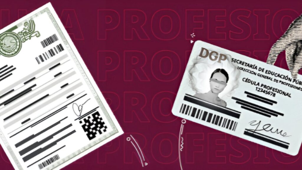 Constancia de Situación Profesional en México | cedulaprofesional.sep.gob.mx