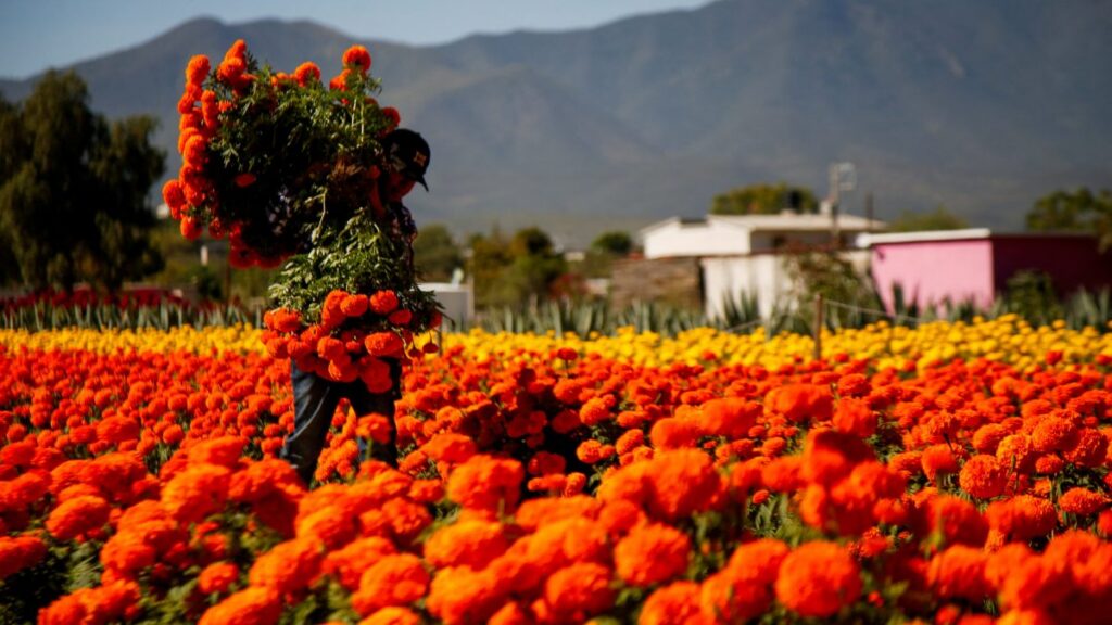 Se espera gran afluencia de gente