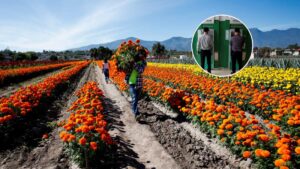 Día de Muertos en México: ¿Abren los bancos el 1 y 2 de noviembre?