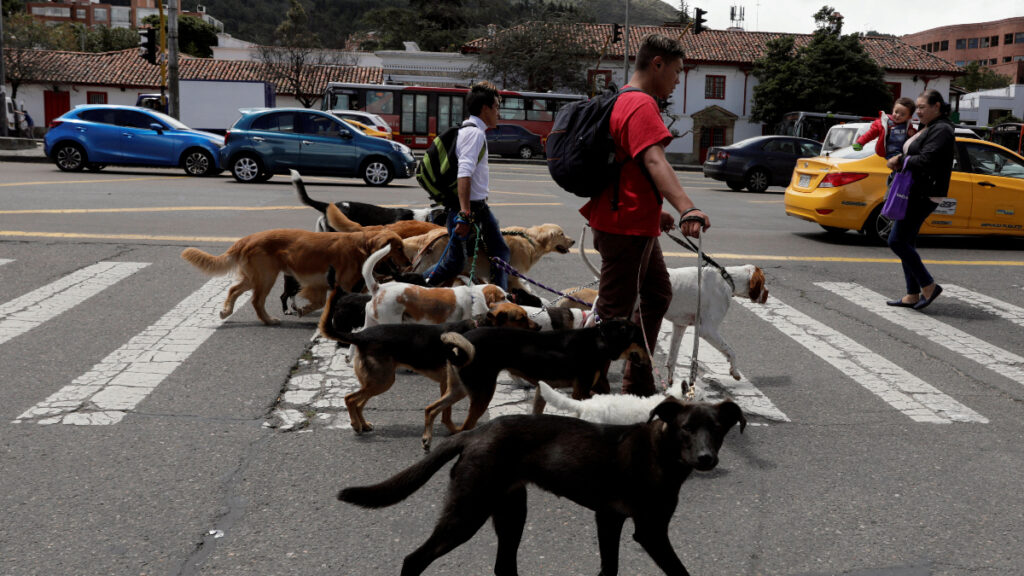 Una calle de Bogotá. - Henry Romero, Reuters.
