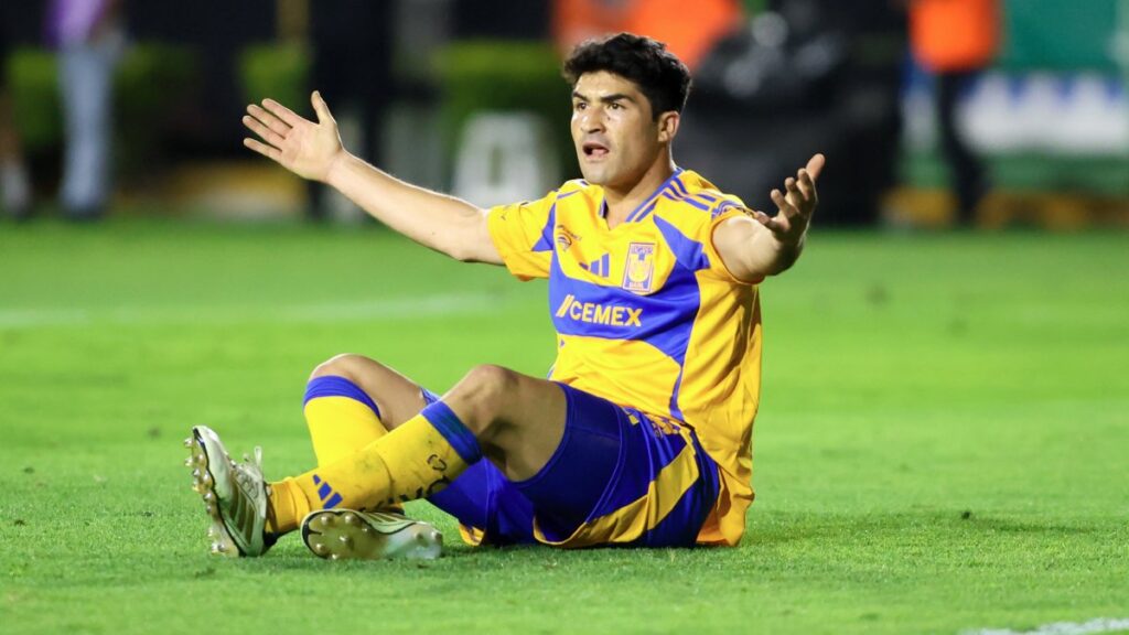 Nicolás Ibáñez estará sujeto a la evolución que vaya teniendo. Imago 7