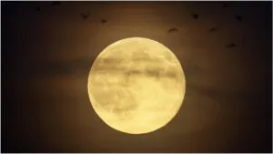 Luna del Lobo 2026: ¿Cuándo es la superluna llena de enero y cómo ver?