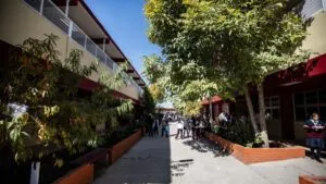 SEP inicia hoy entrega de calificaciones: ¿Dónde y cómo descargar la boleta 2025?