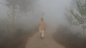 Tormenta invernal y Frente frío 16 azotan México: ¿Qué estados tendrán nieve, lluvias y viento?