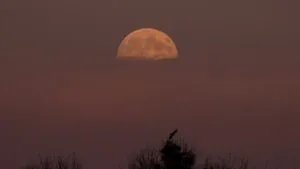 Superluna fría y lluvia de estrellas: calendario de todos los eventos astronómicos en diciembre