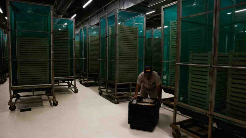 ¿Qué carreras son las mejor pagadas en México?