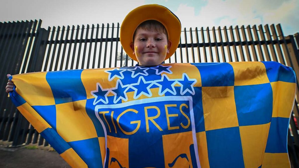Tigres, aficionado