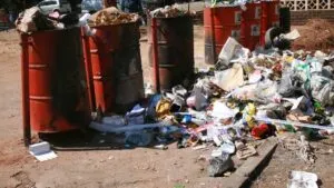 Separación de residuos obligatorio en CDMX: ¿Cuándo entra en vigor y cuál es la multa?