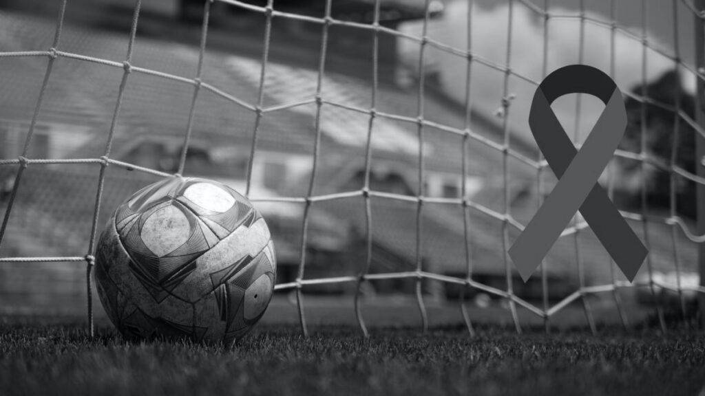 Fútbol internacional