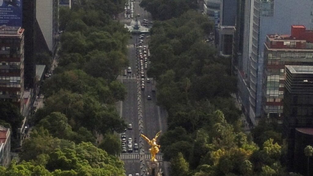 Hoy No Circula 2025: ¿Qué carros no salen el 29 de diciembre en CDMX y Edomex?