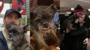 CM Punk se despide de su perrito Larry con profunda tristeza