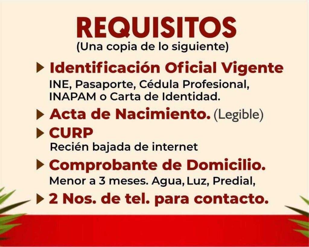 Requisitos para solicitar el apoyo. Foto: ubicatumodulo.bienestar.gob.mx/