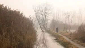 Frente Frío 24: ¿Qué estados serán azotados por bajas temperaturas y cómo protegerse?