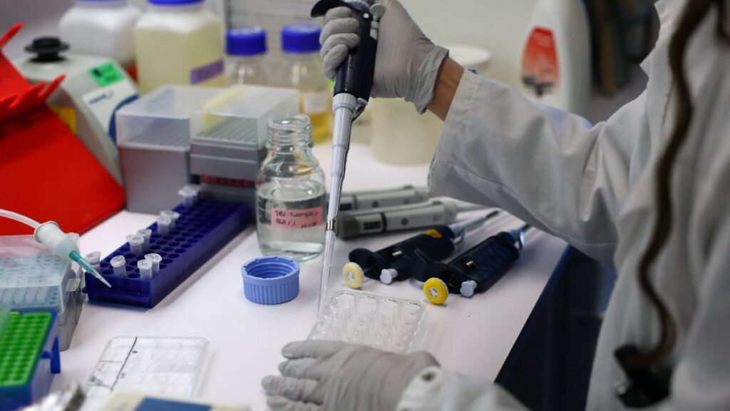 El primer caso de influenza A H3N2 subclado K fue confirmado por el Instituto Nacional de Enfermedades Respiratorias (INER) de la Ciudad de México