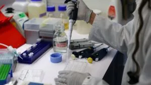 Virus Nipah: qué es, síntomas y cómo se contrae