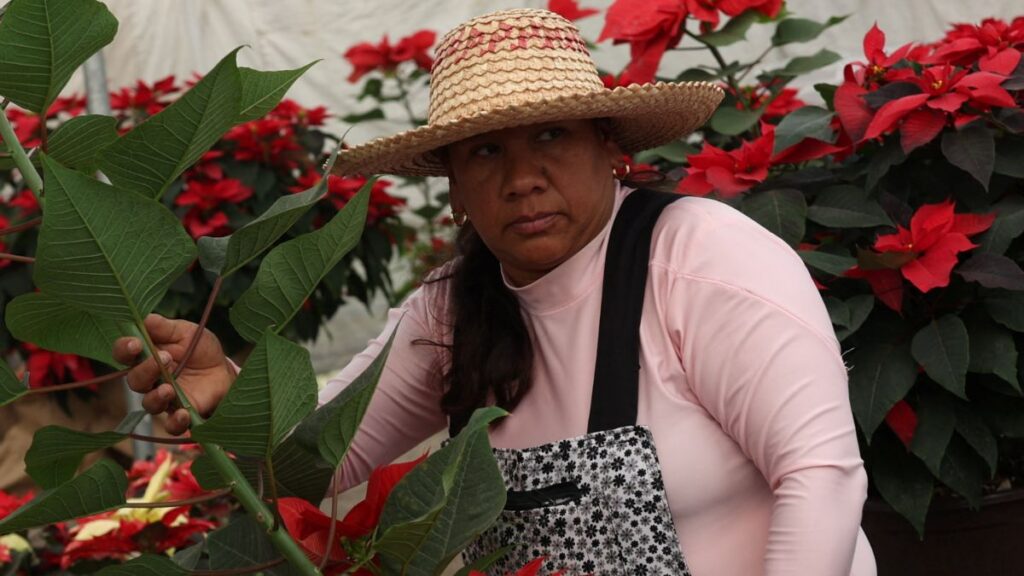 Este apoyo, que busca fortalecer la autonomía económica de mujeres de 60 a 64 años