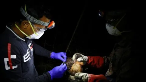 Rabia Humana en México: ¿Debemos preocuparnos por la primera muerte? Estos son los síntomas