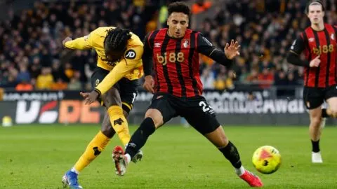 El Bournemouth da un baño de realidad y hunde más a los Wolves