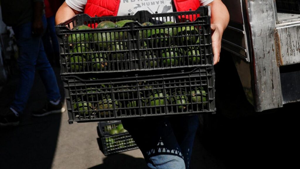 Super Bowl 2026: ¿Cuánto aguacate se consume en EEUU durante el partido y de dónde es?