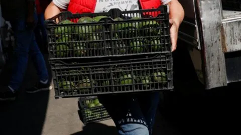 Super Bowl 2026: ¿Cuánto aguacate se consume en EEUU durante el partido y de dónde es?